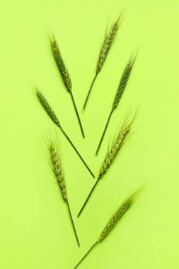Arkaplanda yeşil buğday dikenleri