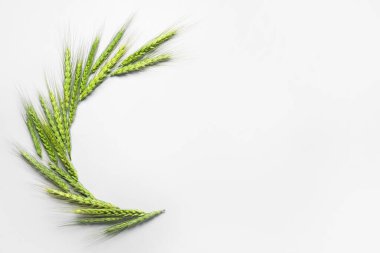 Açık arkaplanda yeşil buğday dikenli kompozisyon