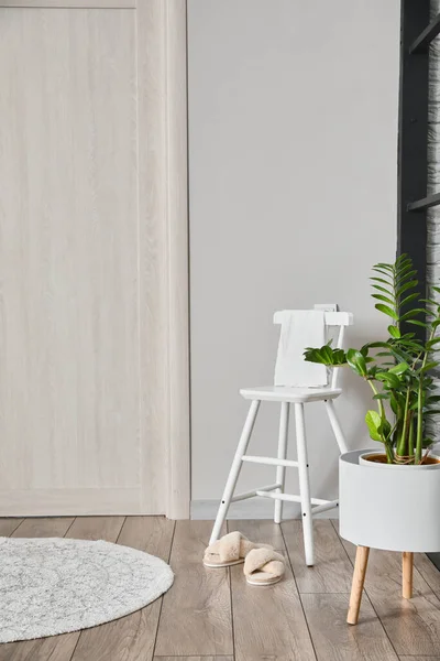 Chair Houseplant Modern Room — Stock Photo, Image