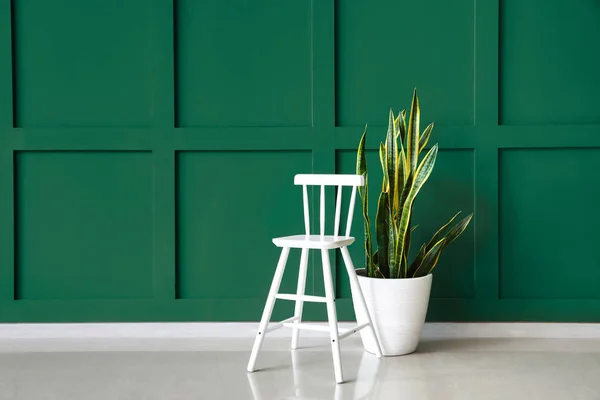 Chair Houseplant Green Wall — Stock Photo, Image