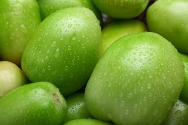 Arka plan olarak taze yeşil domatesler, yakın plan