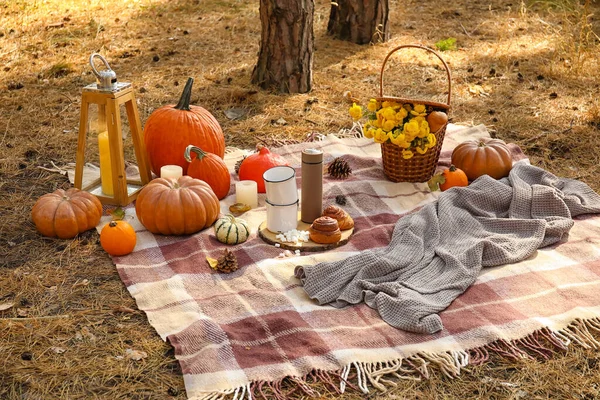 Tasty Food Drink Romantic Picnic Forest — Stock Photo, Image