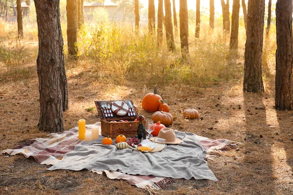 Ízletes Ételek Italok Romantikus Piknikhez Erdőben — Stock Fotó
