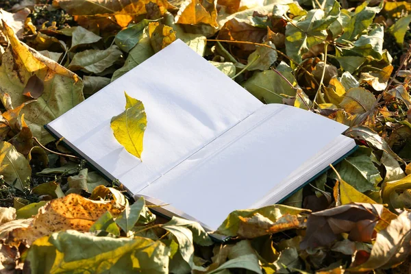 Libro Blanco Sobre Las Hojas Parque Otoño — Foto de Stock