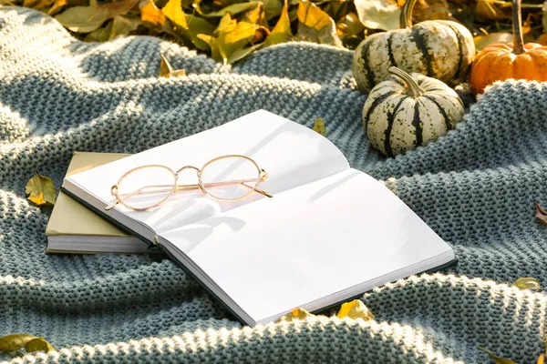 Books Pumpkins Eyeglasses Warm Plaid Autumn Park — Stock Photo, Image