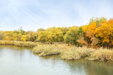 Güzel park görünümünü sonbahar günü