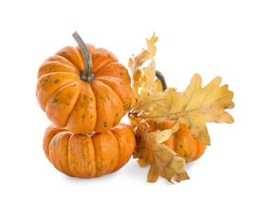 Beyaz arka plan üzerinde izole taze kabak