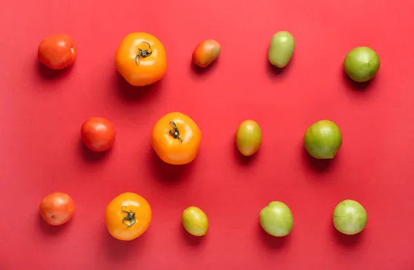 Different Tomatoes Color Background — Stock Photo, Image
