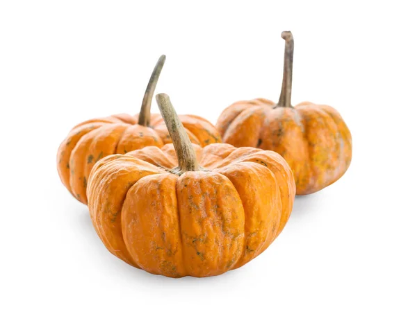 Fresh Pumpkins Isolated White Background — Stock Photo, Image