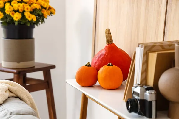 Fresh Pumpkins Table Modern Room — Stock Photo, Image
