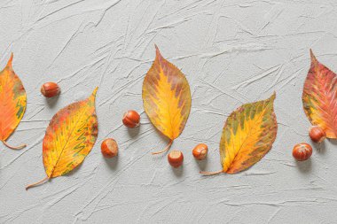 Gri arka planda güzel sonbahar yaprakları ve fındıklar