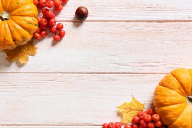 Olgun balkabaklarıyla güzel sonbahar kompozisyonu ve hafif ahşap arka planda kızılcık üzümü.