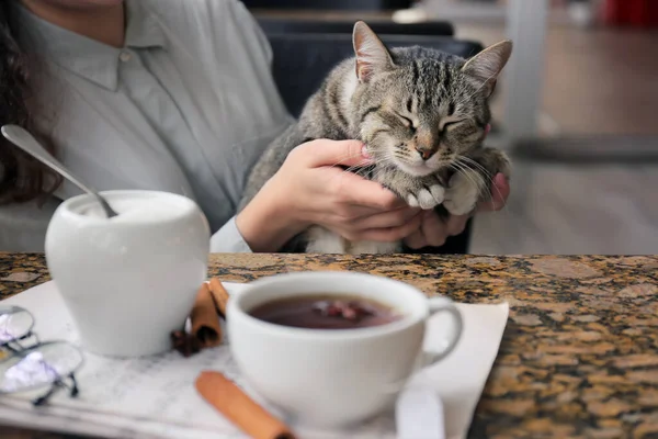 Frau Mit Katze Trinkt Tee Tisch Café — Stockfoto