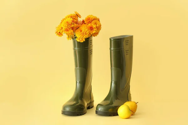 Gumowe Buty Kwiaty Owoce Tle Koloru — Zdjęcie stockowe