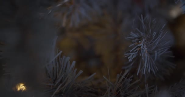 Branches Arbre Noël Vue Rapprochée — Video