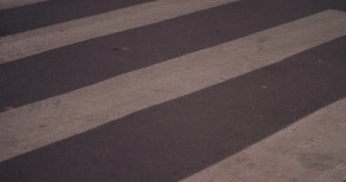 Zebra üzerinde yürüyen bir kadın