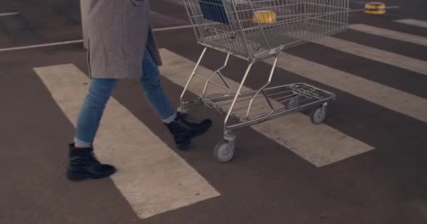 Vrouw Met Winkelwagentje Lopend Zebra Kruising — Stockvideo
