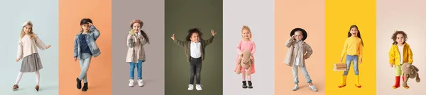 Sonbahar Kıyafetleri Içinde Renkli Arka Planda Bir Grup Şık Kız — Stok fotoğraf
