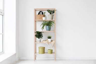 Ev bitkilerinin olduğu raf ünitesi ışık duvarının yanında