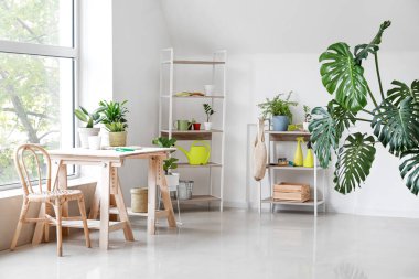 Raflar ve ev bitkileriyle aydınlatma odasının içinde.