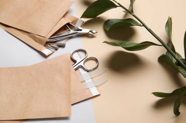 Manikür ekipmanlı kağıt torbalar ve arka planda yeşil bir dal.