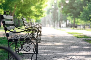 Bahar günü şehir parkında güzel bir bank
