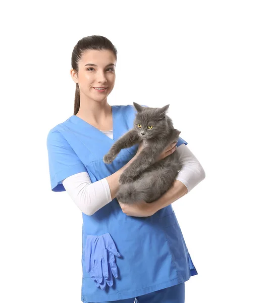 Female Veterinarian Holding Cute Cat White Background — Stock Photo, Image