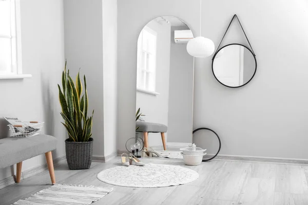 Interior Light Hallway Mirrors Houseplant — Stock Photo, Image