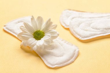 Sarı arka planda regl pedleri ve papatya çiçeği