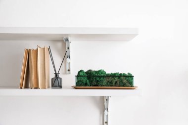 Işık duvarında dekoratif yosun, kitaplar ve kamış ayırıcı asılı raflar.