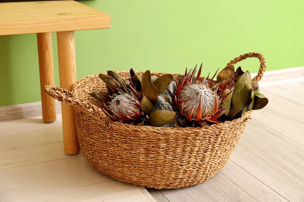 Wicker Basket Exotic Dried Flowers Green Wall — Stock Photo, Image