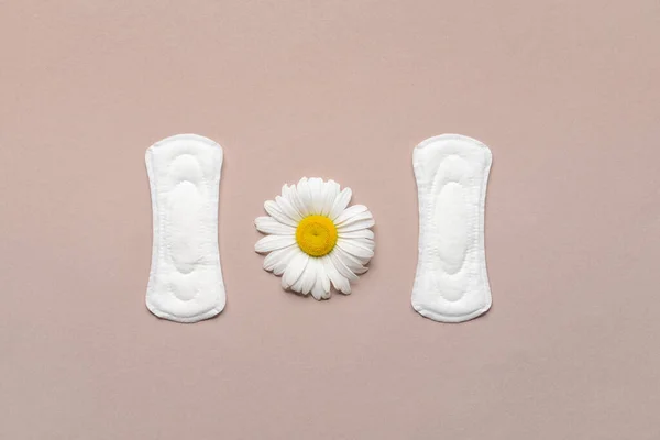 Menstruacja Pad Kwiat Rumianku Tle Koloru — Zdjęcie stockowe
