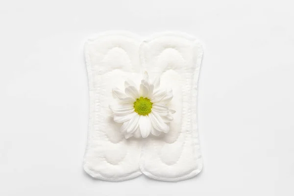 Almofadas Menstruais Flor Camomila Sobre Fundo Branco — Fotografia de Stock