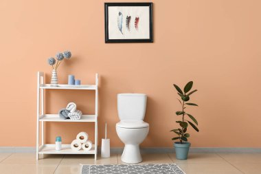 Tuvaletin içinde klozet ve raf ünitesi var.