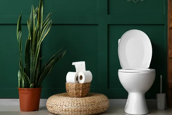 Toilet Mangkuk Keranjang Dengan Kertas Dan Tanaman Rumah Dekat Dinding — Stok Foto