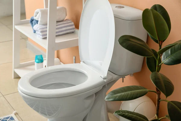 Toilet Mangkuk Dan Tanaman Rumah Dekat Dinding Beige Kamar Kecil — Stok Foto