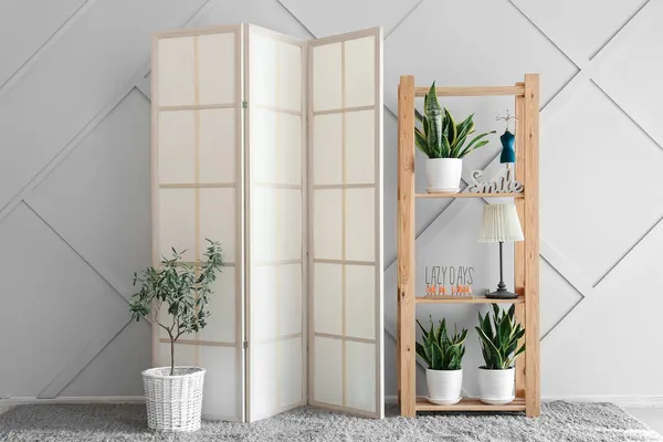 Stylish Folding Screen Houseplants Room Interior — Stock Photo, Image