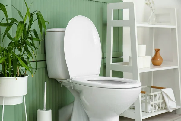 Toilet Bowl Houseplant Brush Shelving Unit Color Wall — Stock Photo, Image
