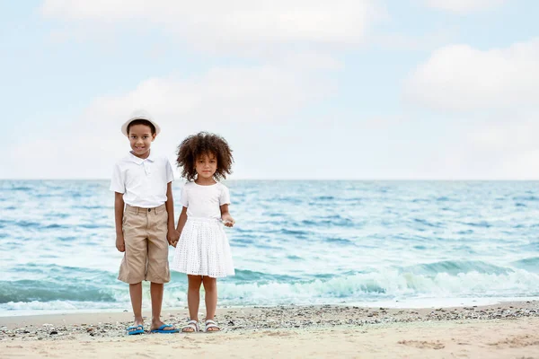 Afro Amerikalı Erkek Kız Kardeşler Deniz Sahilinde — Stok fotoğraf