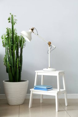 Lambalı ve kaktüslü merdiven, ışık duvarına yakın.