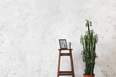 Büyük yeşil kaktüs ve ahşap tabure.