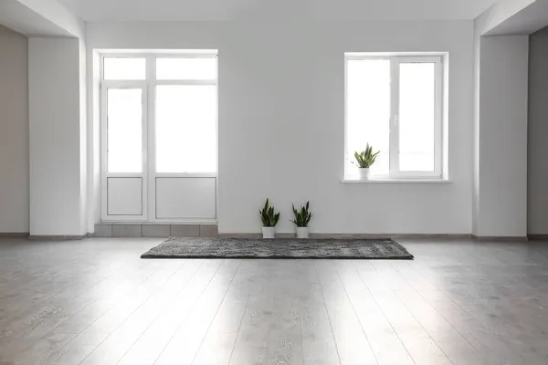 Blick Ein Leeres Zimmer Mit Teppich Und Zimmerpflanzen — Stockfoto