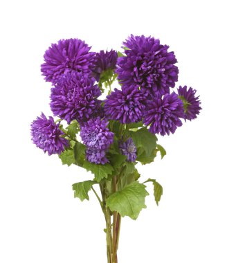 Beyaz arkaplanda mor renkli bir çiçek buketi, yakın plan.