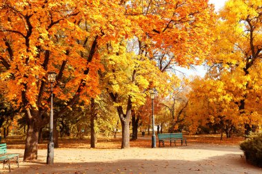 Sonbahar günü güzel şehir parkı manzarası