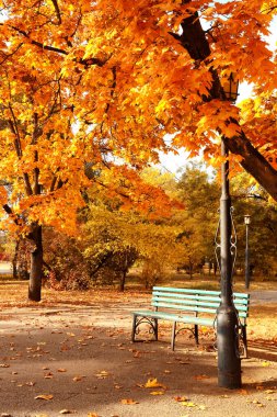 Sonbahar günü güzel şehir parkı manzarası