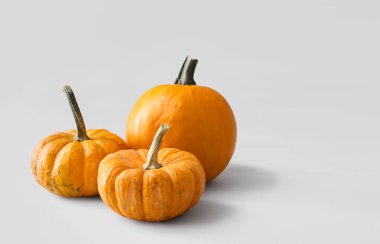 Açık arkaplanda taze balkabakları