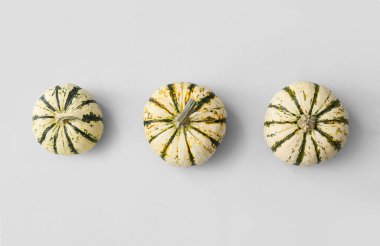 Açık arkaplanda taze balkabakları