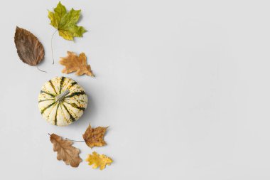 Açık arkaplanda kurumuş yaprakları olan taze balkabağı.