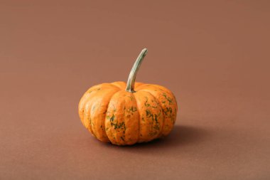 Kahverengi arka planda olgun, güzel bir balkabağı