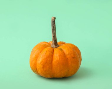 Turkuaz arka planda olgun, güzel bir balkabağı.